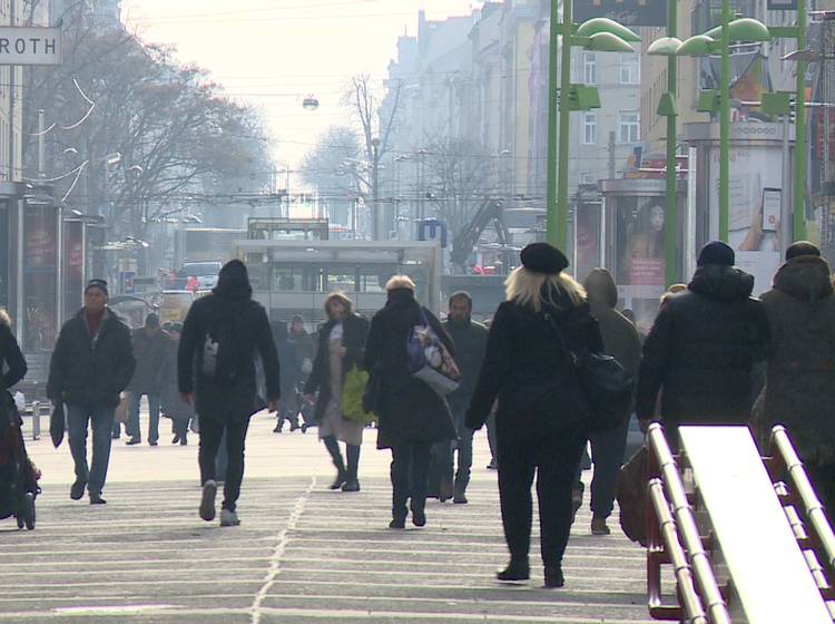 Türkis-Grün: Was denken die WienerInnen?