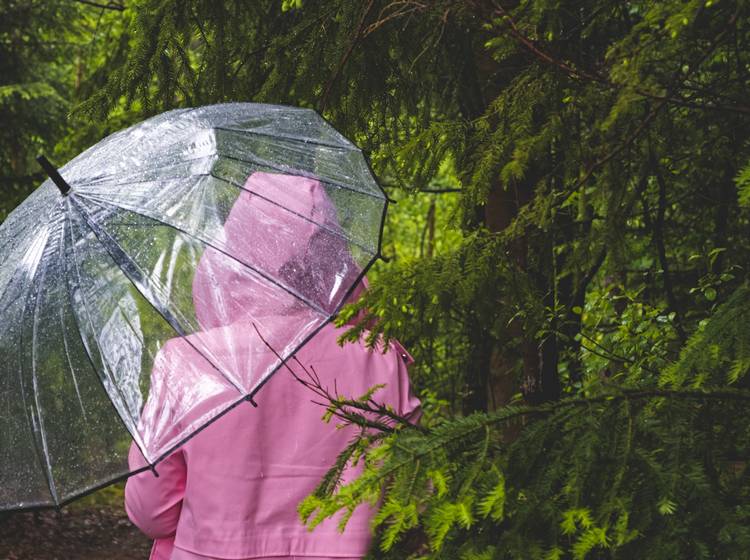 Eisheilige bringen Temperatursturz