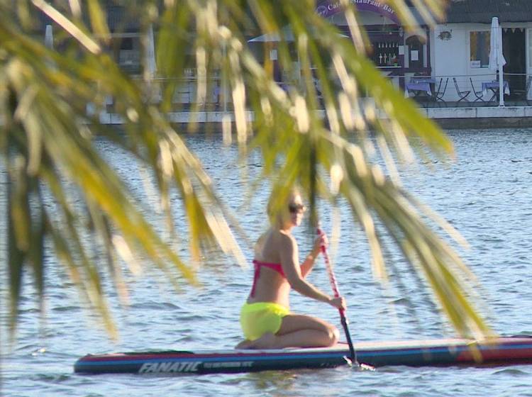 Bezirksflash: Baden in der Donau wieder erlaubt