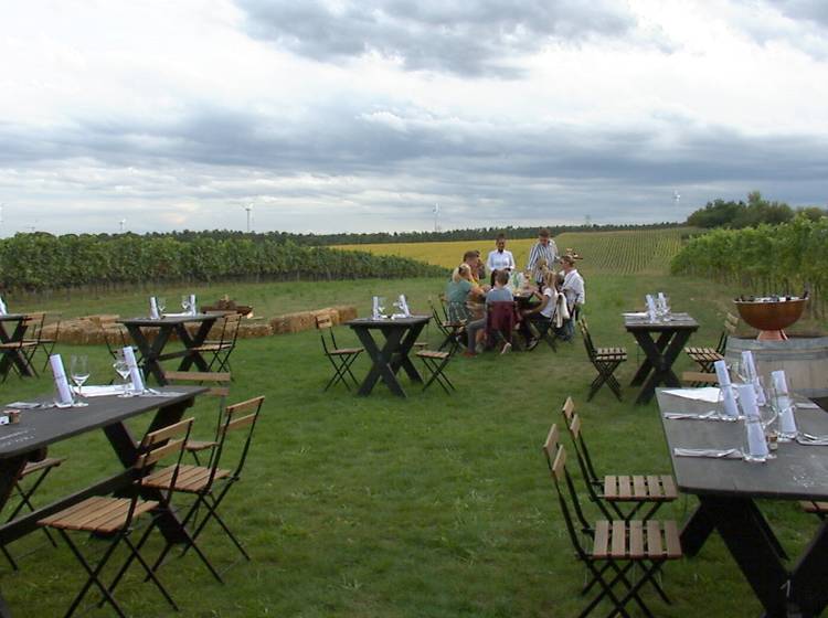 Kulinarischer Spätsommer in Carnuntum