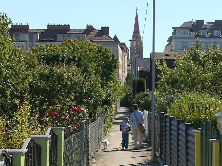 Rudolfsheim-Fünfhaus: Parkzonen-Verwirrung