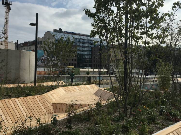 Donaukanal: Schwimmende Gärten eröffnet