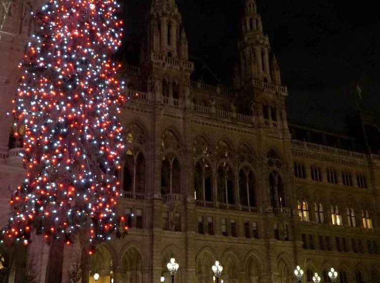 Der Christbaum am Wiener Rathausplatz leuchtet