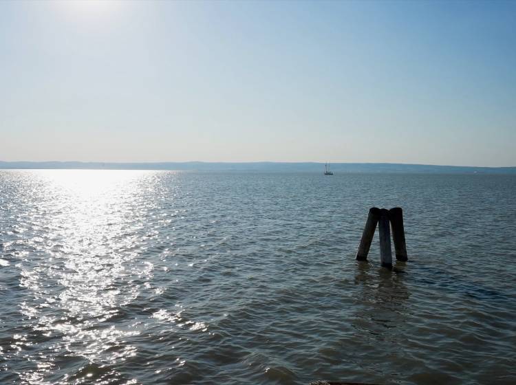 Wie schlecht geht es dem Neusiedler See?