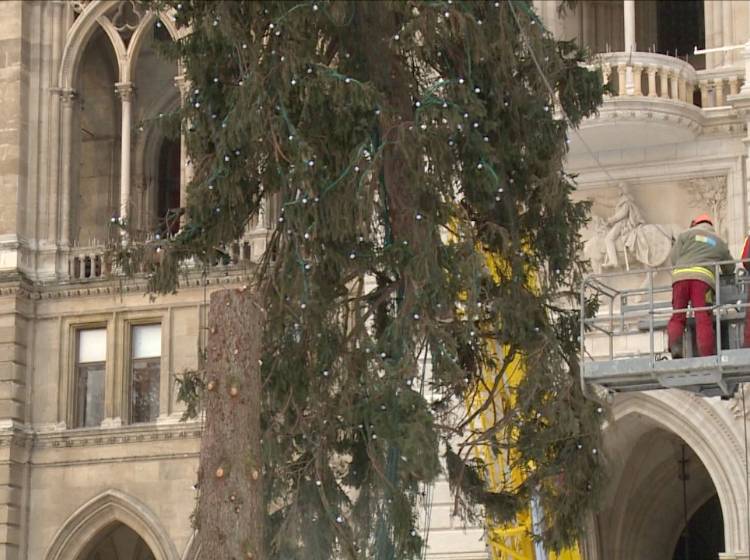 Rathausplatz: Adieu Christbaum