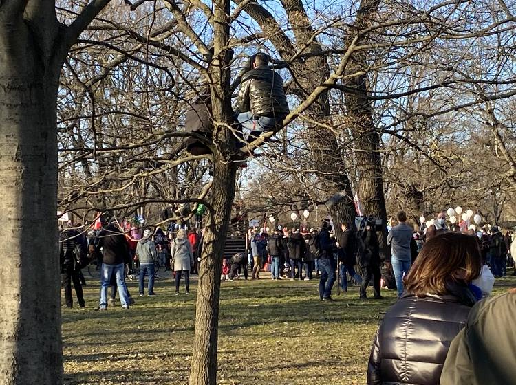 Rund 3.000 Anzeigen bei Anti-CoV-Demo