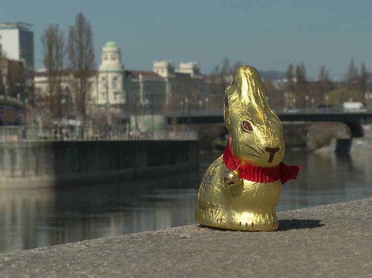 Test: Wie fair und sozial sind Schoko-Osterhasen