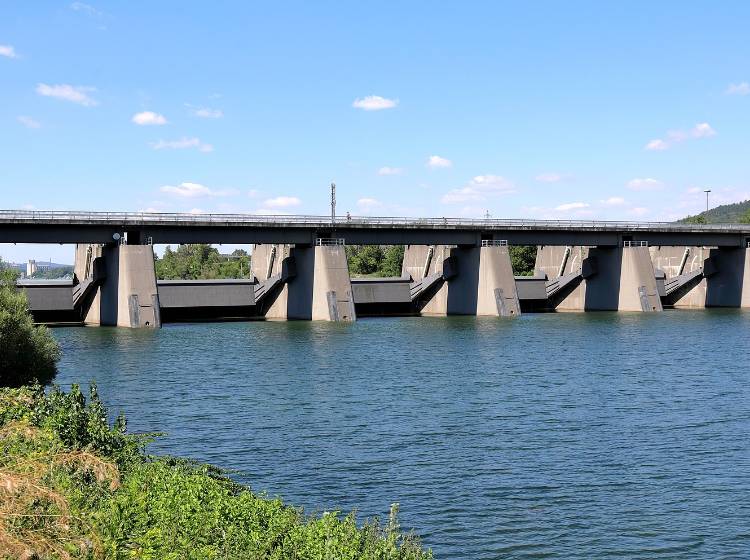 Hochwasser: Neue Donau wird geflutet