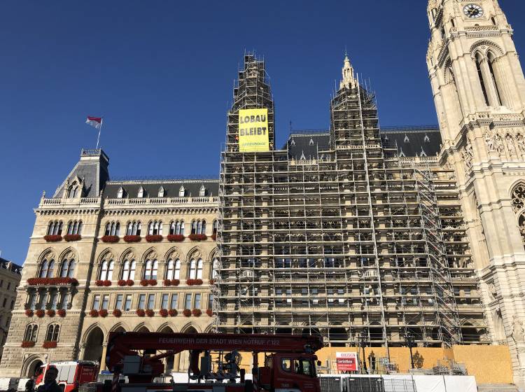 Greenpeace beendet Demonstration im Rathaus