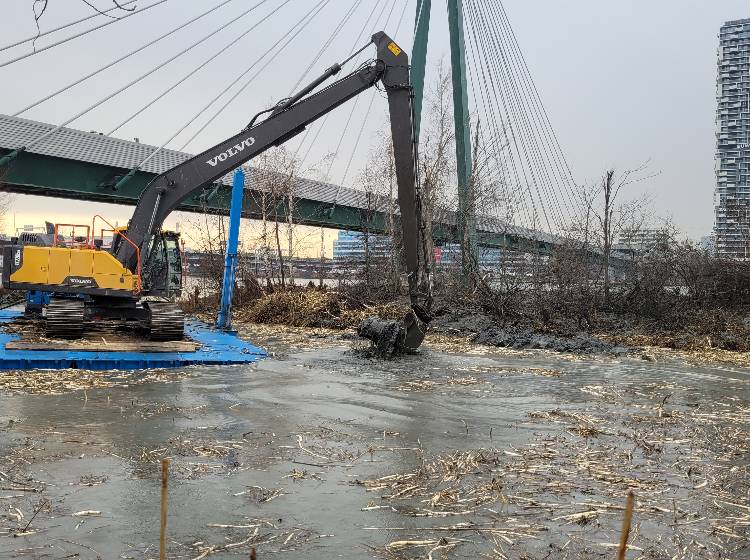 Donauinsel: Bagger buddeln Buchten aus