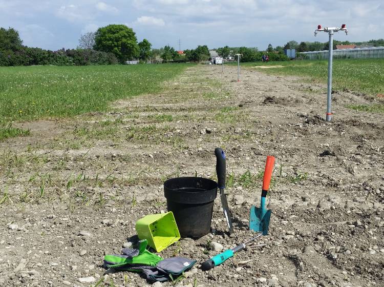 Urban Gardening im Hafen Wien