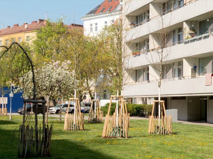 Gemeindebauten: Begrünungen sorgen für Abkühlung