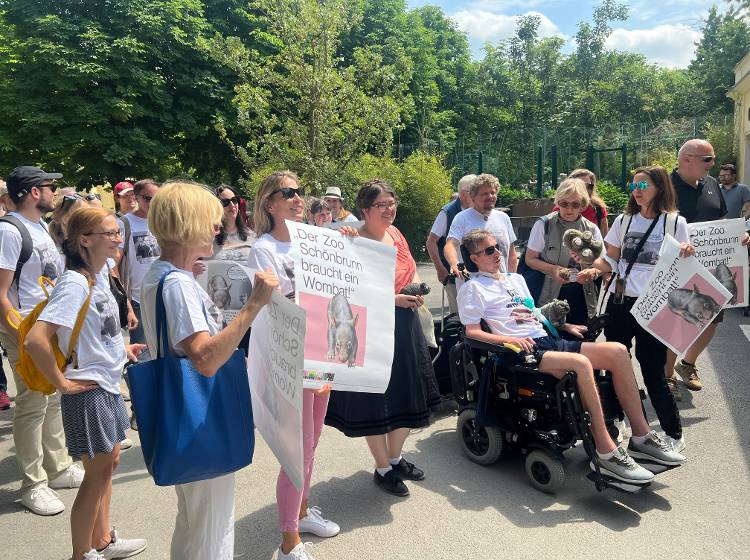 Wombat-Flashmob: Was sagt der Tiergarten?