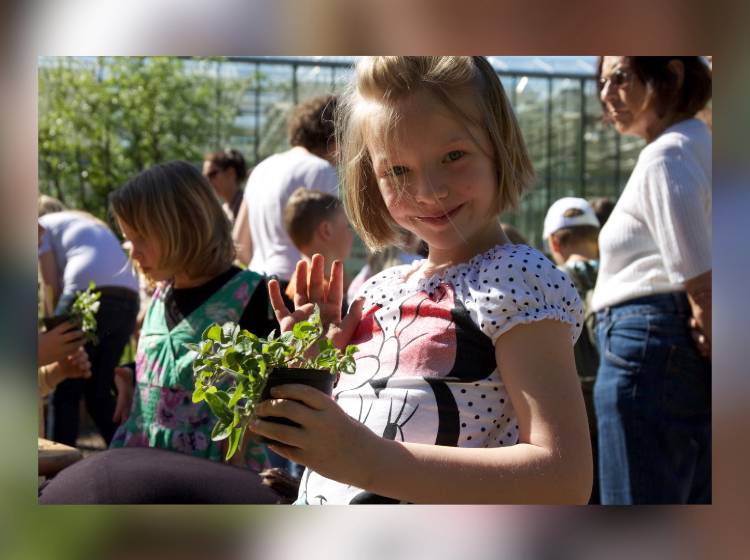 Bezirksflash: Sommercamp im Augarten