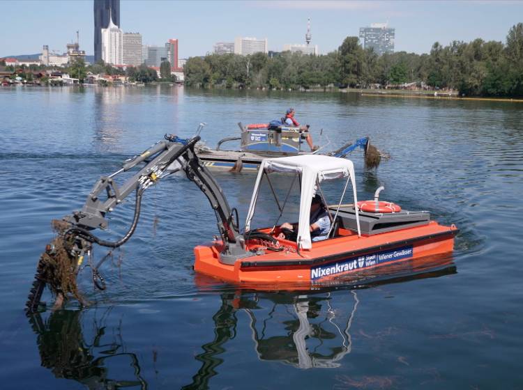 Mähboote: Neue Saison auf Alter Donau