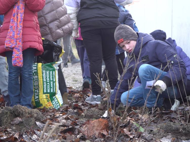 Favoriten: Erster "Tiny Forest" gepflanzt