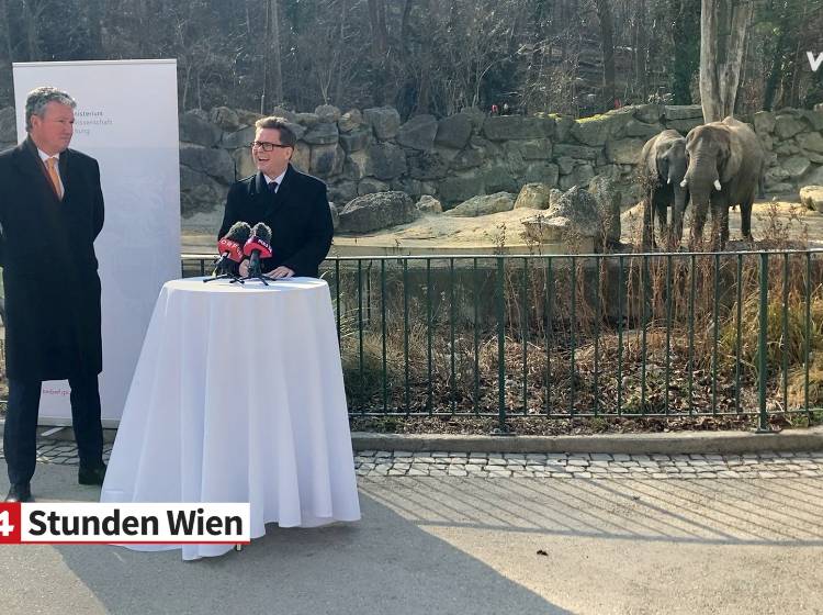 Neues Paket zur Wissenschaftsvermittlung