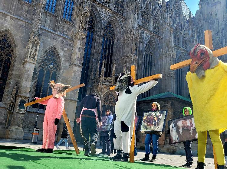 Ostern: Tierleid am Teller