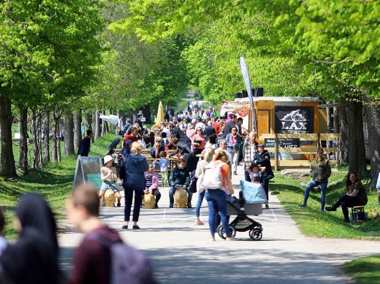 Bezirksflash: Frühlingsfest im Lainzer Tiergarten