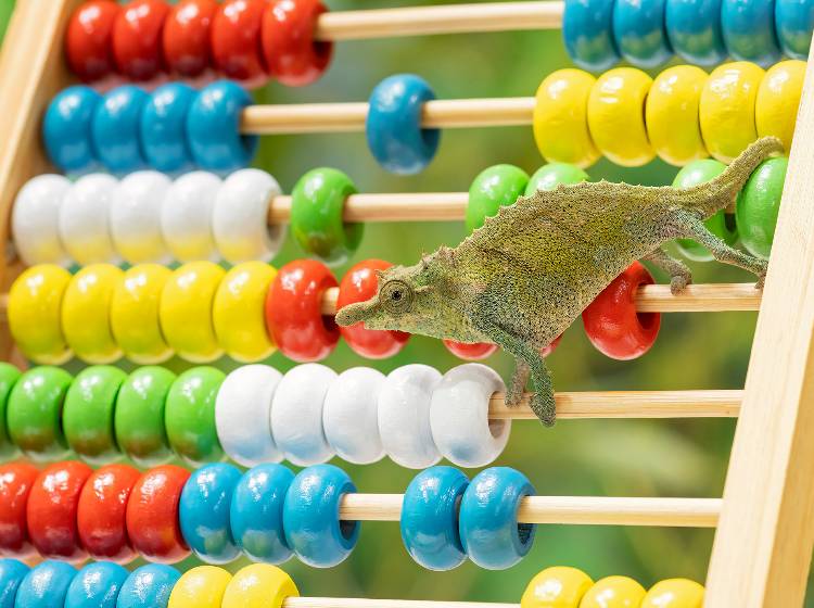 Tierische Inventur im Tiergarten Schönbrunn