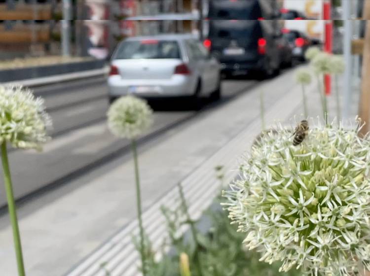 Thaliastraße: Am Weg zum "Klimaboulevard"