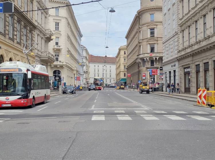 Bezirksflash: Bäume für die Schwarzenbergstraße