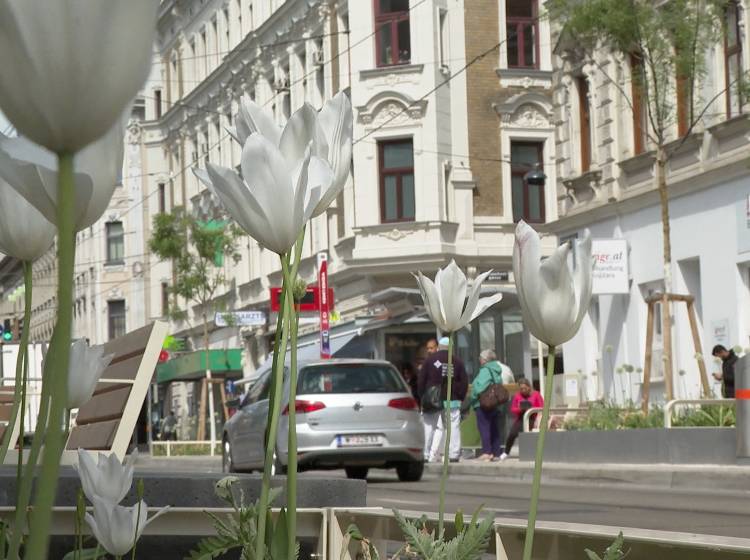 Thaliastraße: Umgestaltung schreitet voran