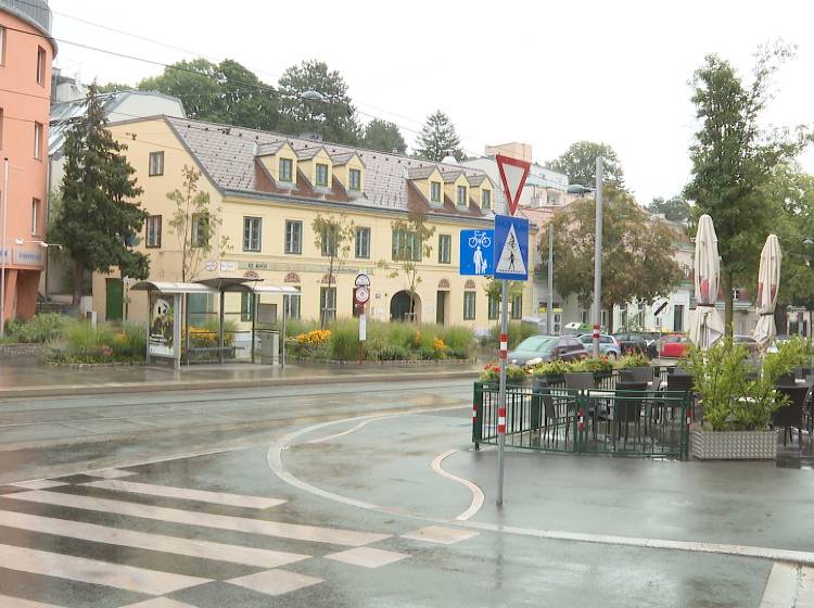 Stauden statt Steine, Bäume statt Beton