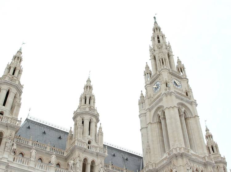 Monat der Erwachsenenbildung: Auftakt im Rathaus