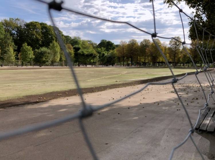 Bezirksflash: Aufregung um Augarten-Wiese