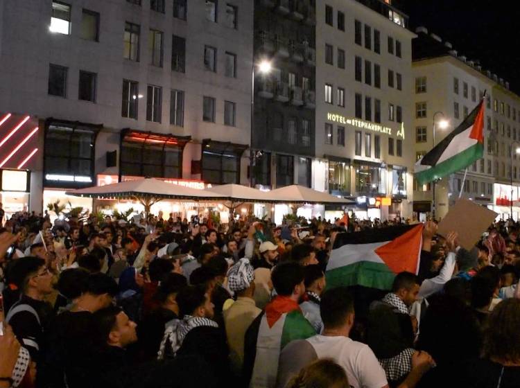 Über 300 Anzeigen nach Demo am Stephansplatz