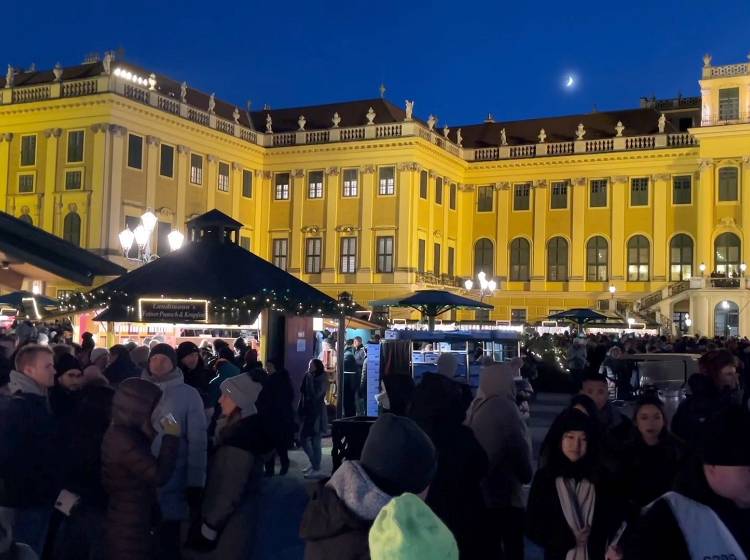 Bezirksflash: Weihnachtsmarkt in Schönbrunn