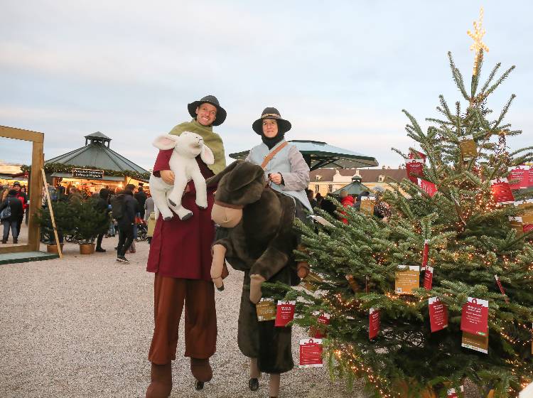 Schönbrunner Christkindlmarkt vor Änderungen