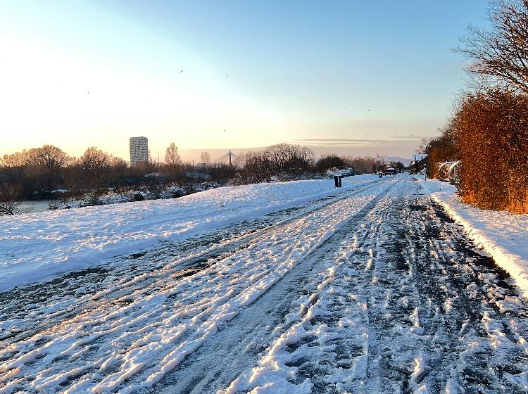 Ergiebige Schneefälle auch in Wien