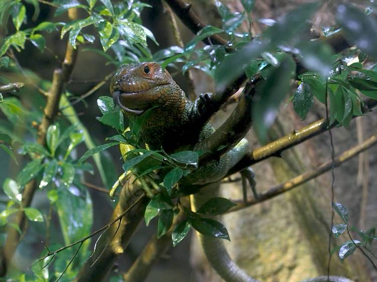 Schönbrunn: 2023 über 2 Millionen Besucher