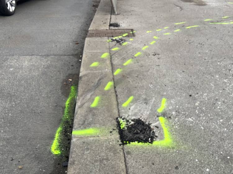 Tödlicher Verkehrsunfall am Wildgansplatz