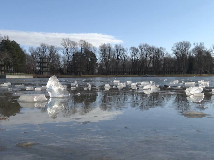 Alte Donau: Gefahr am Eis