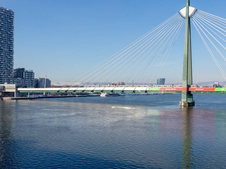 Leblose Person bei Donaustadtbrücke gefunden