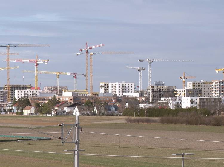 Bim-Tangente für Stadtentwicklungsgebiete