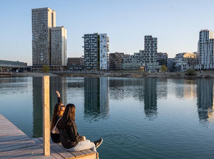 Donaustadt ist jetzt größer als Linz