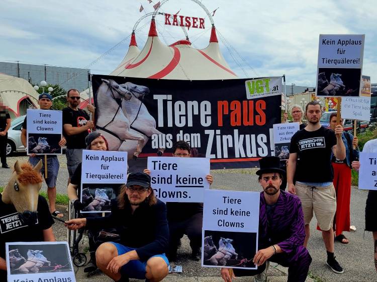 Bezirksflash: Vorwürfe gegen Zirkus am Margartengürtel