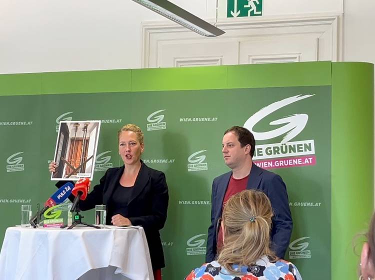 Wiener Grüne fordern Runden Tisch zu "Horror-Häusern"