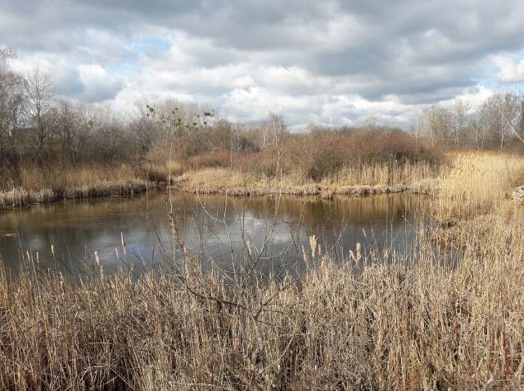 Bezirksflash: Frisches Wasser für den Tritonteich