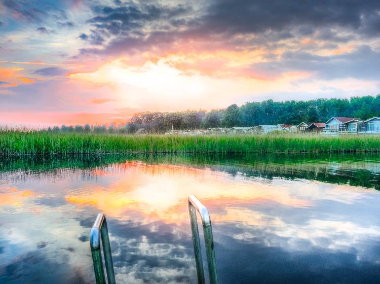 Naturpools werden immer beliebter