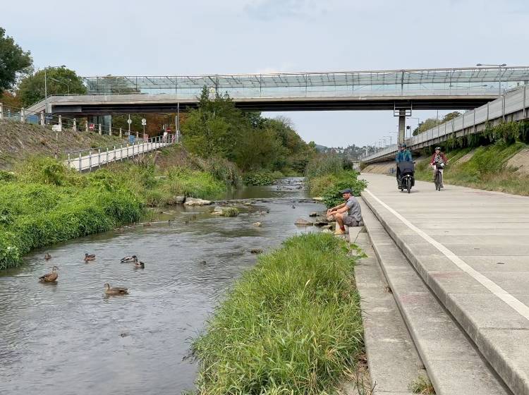 Wienfluss: Naturjuwel statt Betonbett