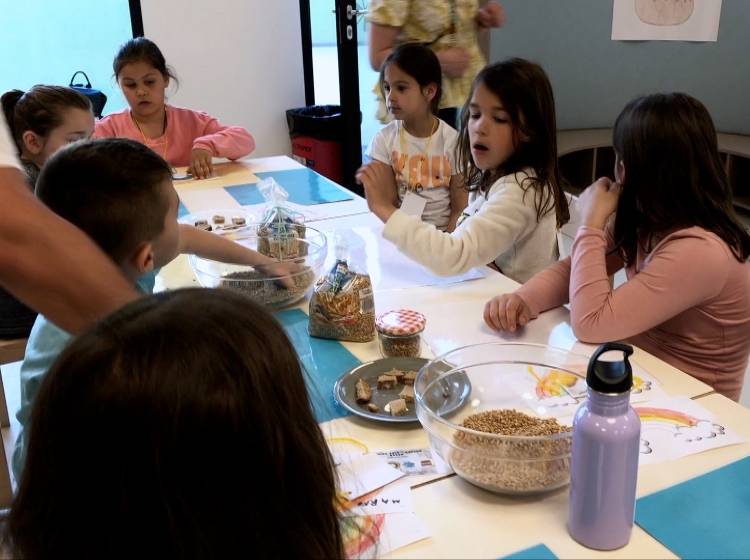 Schule: Ein Fünftel des Essens landet im Müll