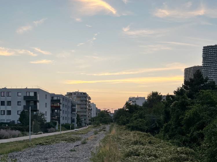 Hitzeblase erfasst Wien mit voller Wucht