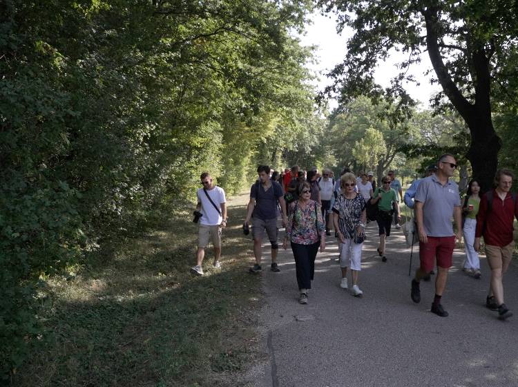 Kulturwanderung im Lainzer Tiergarten