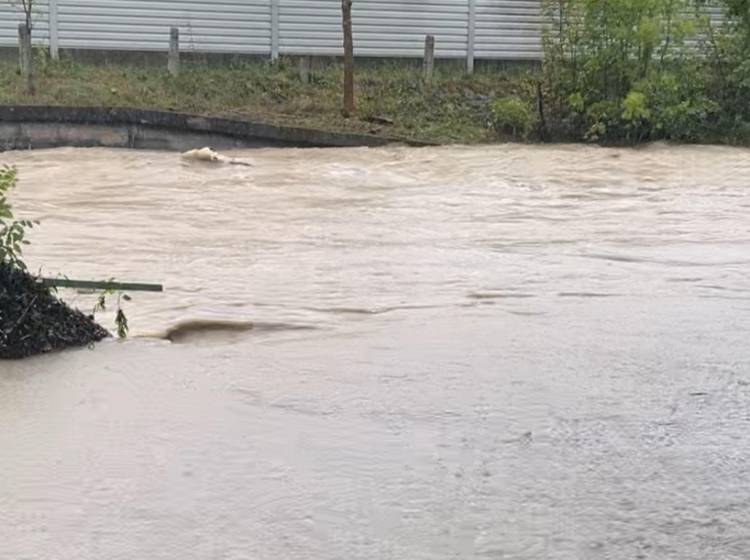 Wienfluss steigt weiter, Stadt sperrt A1-Auf- und Abfahrt