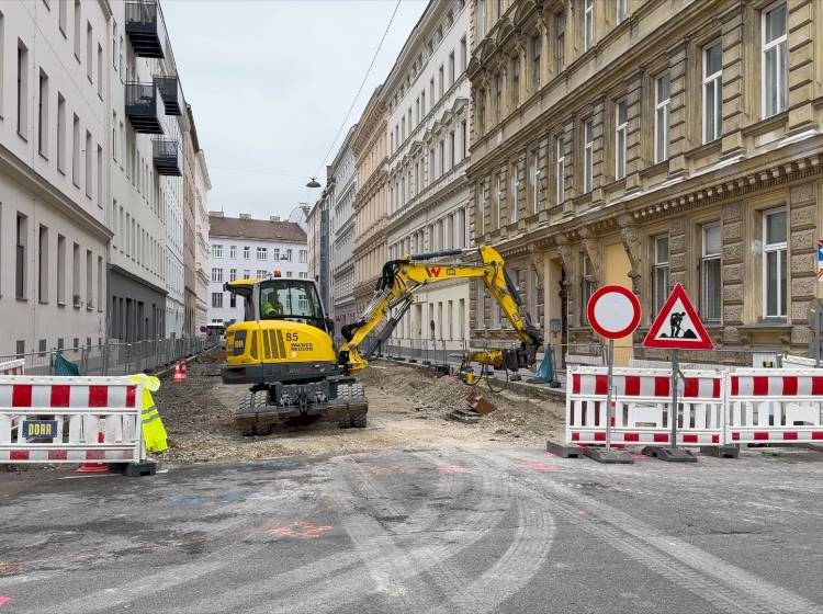 Bezirksflash: Springergasse bekommt Bäume